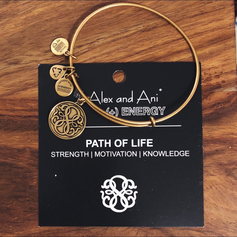 Path of Life Bangle - Positive Energy Collection
